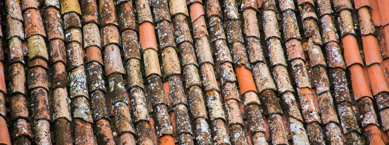 An old tile roof with moss and fungus.